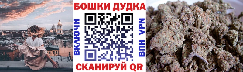 Каннабис семена  мега как зайти  Костомукша  дарнет шоп 